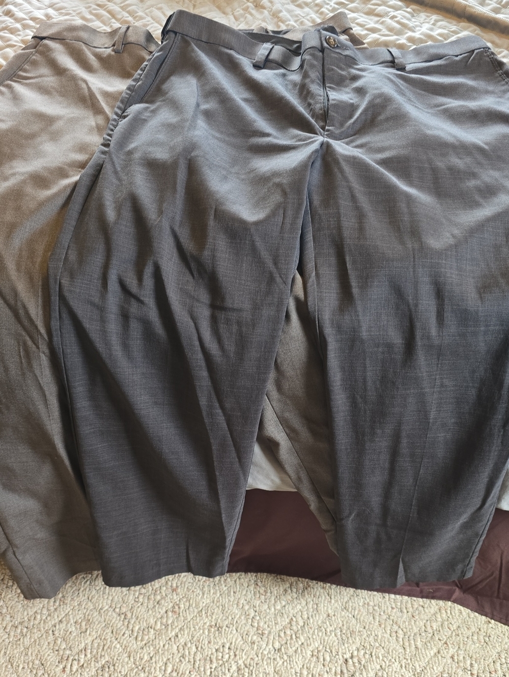 Savane Men's Dress Pants in Charcoal Gray